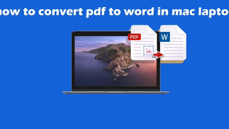How to Convert a PDF to Word on a Mac