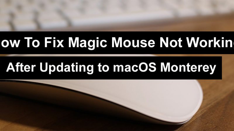 How To Fix Magic Mouse Not Working After Updating to macOS Monterey